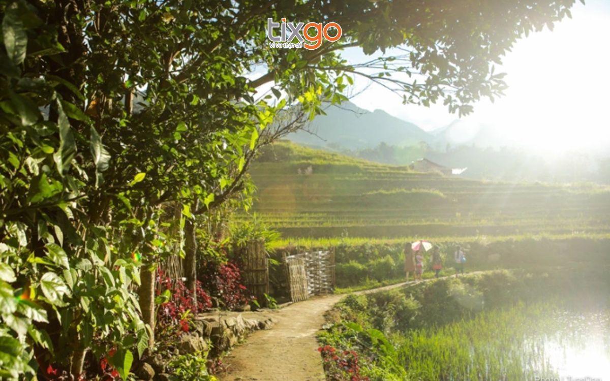 du lịch sapa tháng 10 du lịch sapa tháng 10