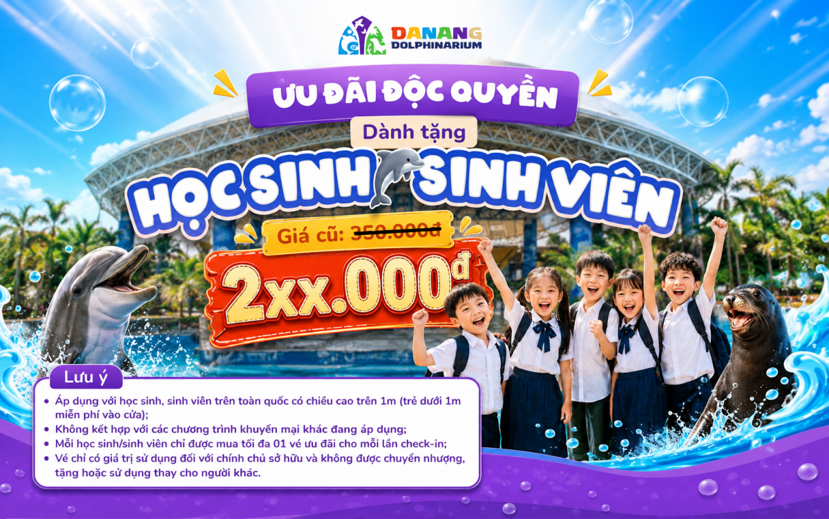 Show Cá Heo & Hải Cẩu Đà Nẵng tung ưu đãi HSSV bùng nổ hè 2026! Show Cá Heo & Hải Cẩu Đà Nẵng tung ưu đãi HSSV bùng nổ hè 2026!