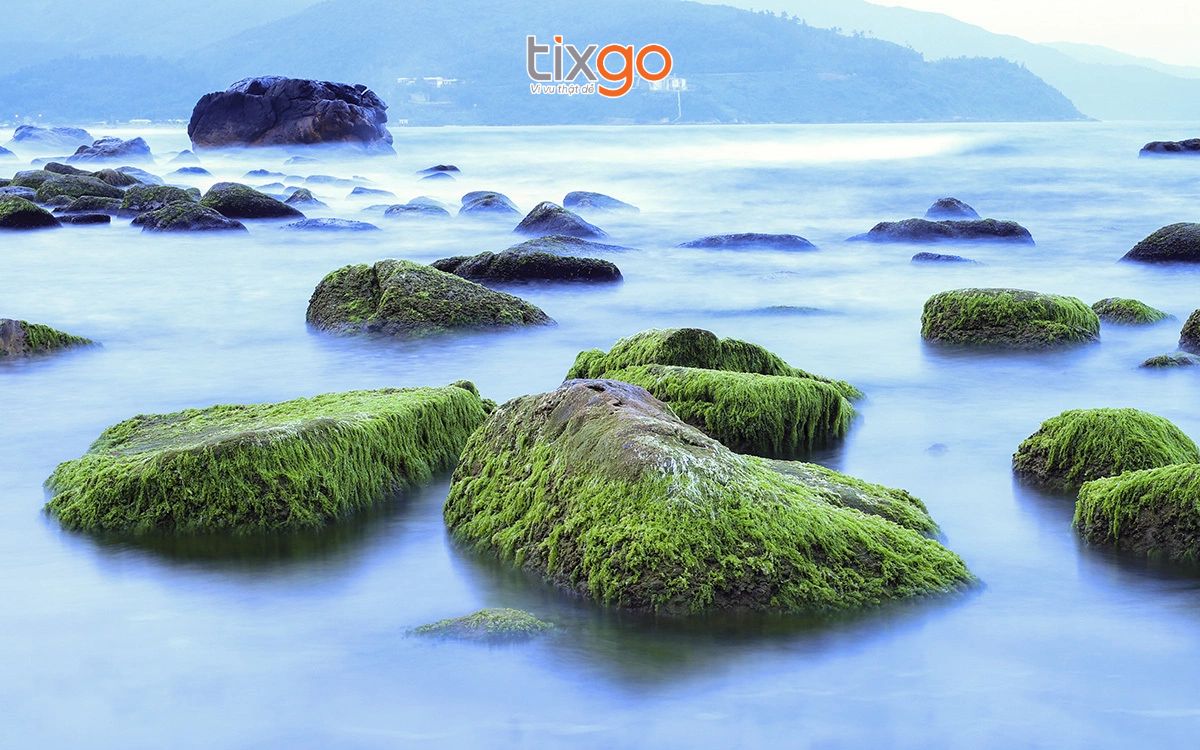 du lịch đà nẵng tự túc du lịch đà nẵng tự túc