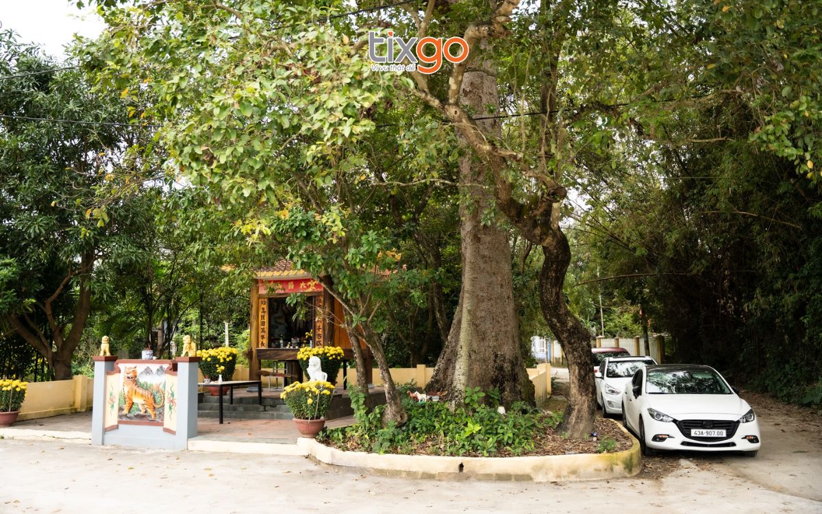 làng cổ phong nam đà nẵng làng cổ phong nam đà nẵng