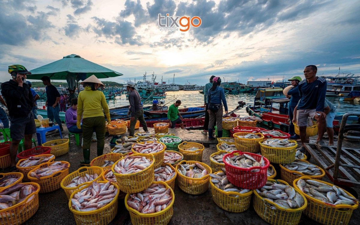 Mua hải sản tươi sống tại chợ An Thới Phú Quốc Mua hải sản tươi sống tại chợ An Thới Phú Quốc