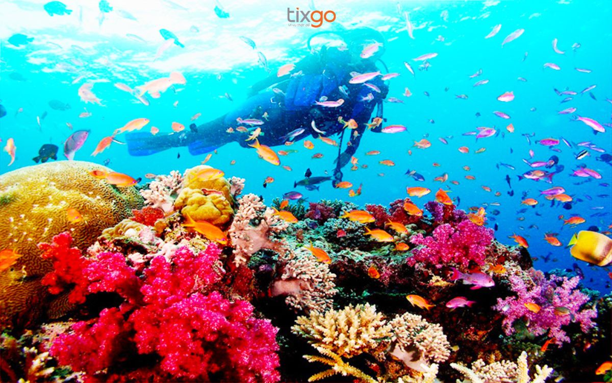 Bãi Sao Phú Quốc