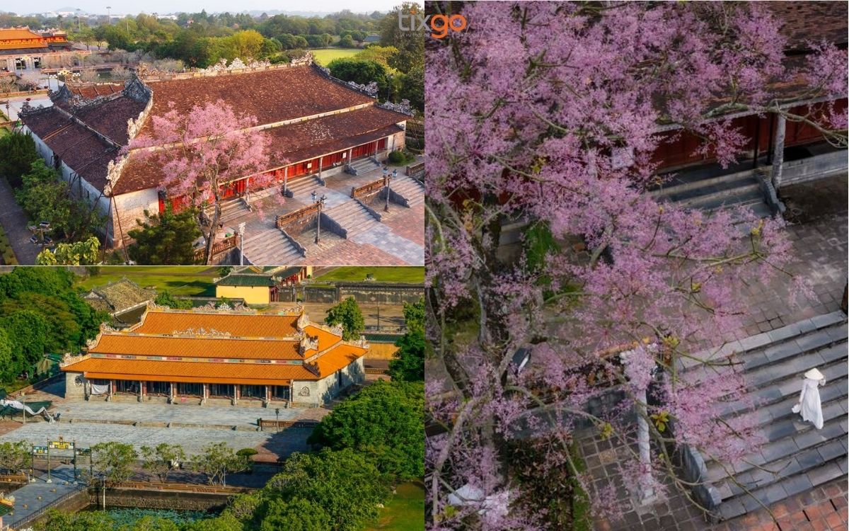 Vẻ đẹp tráng lệ của Điện Thái Hòa sơ đồ đại nội huế