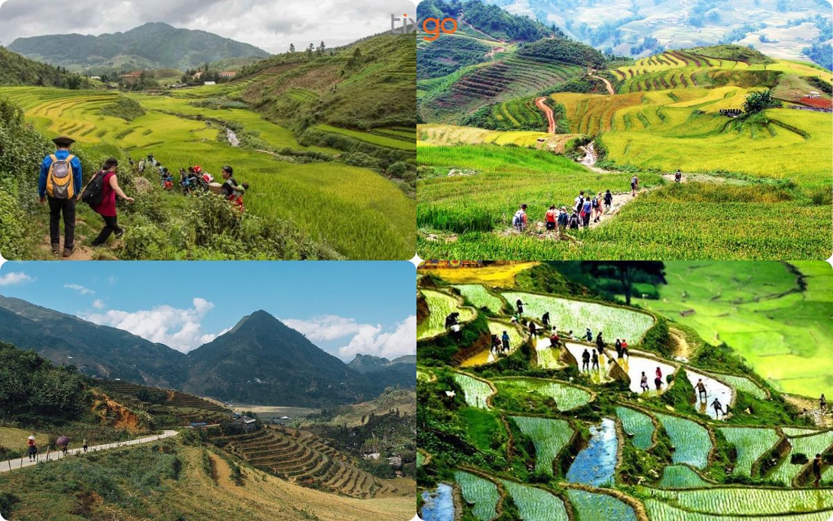 bản tả phìn sapa