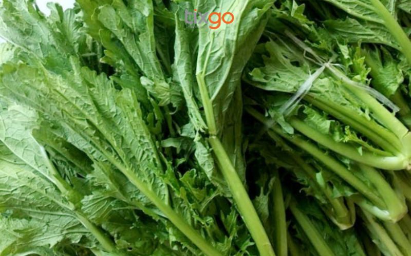 bản tả văn sapa