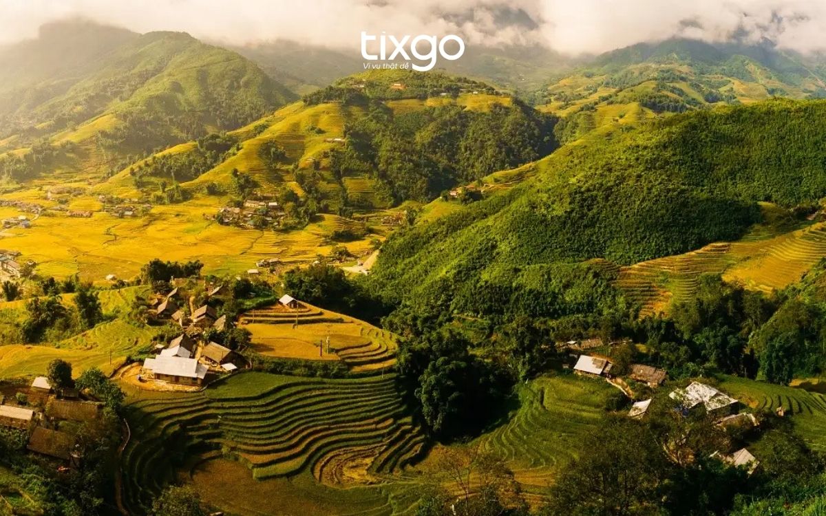 Mùa lúa chín tại Bản Lao Chải - Một trong các bản ở Sapa