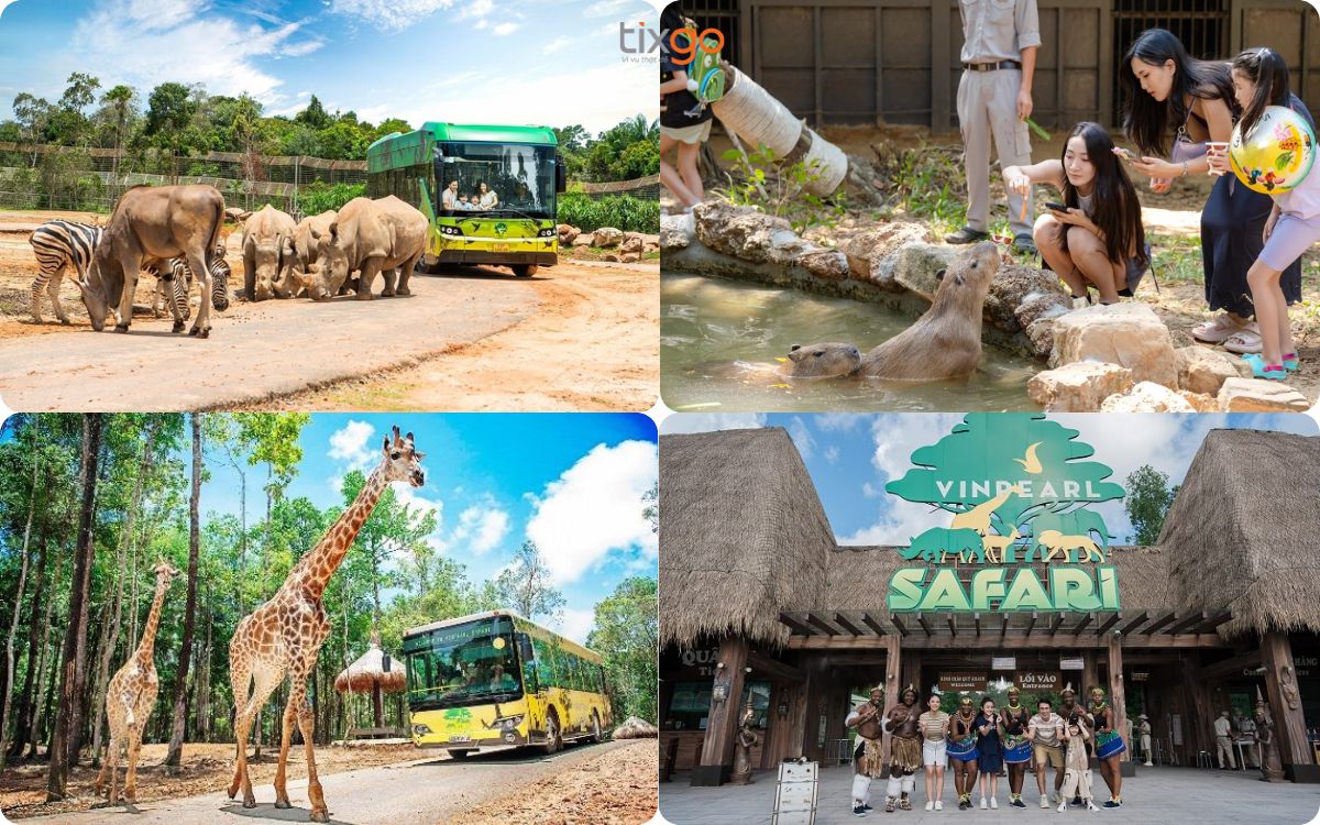 Vinpearl Safari sở hữu hơn 3000 loài động vật thuộc 150 chủng loại khác nhau