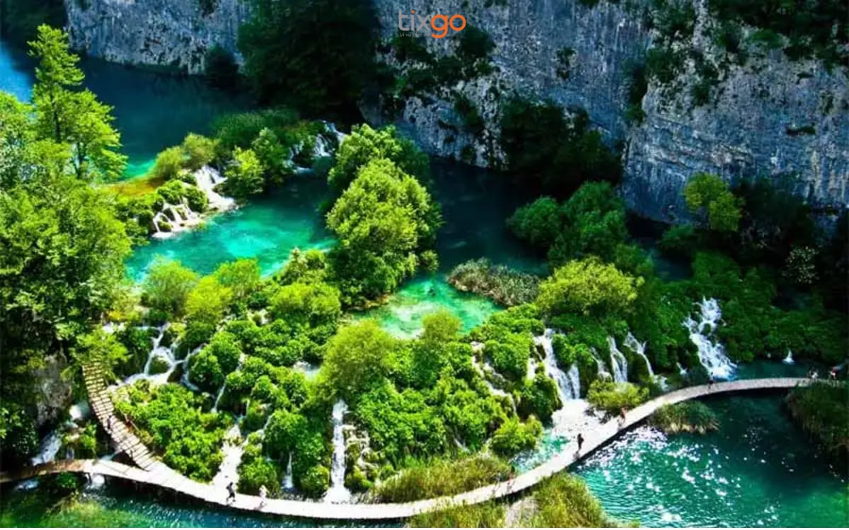 Một góc của “lá phổi xanh khổng lồ” của Phú Quốc