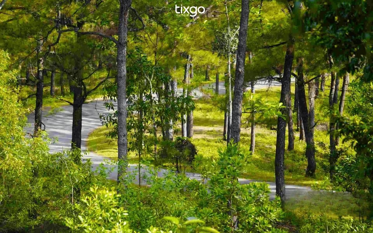 Vẻ đẹp thơ mộng của đồi Thiên An