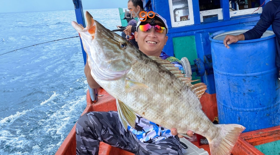 hòn thơm phú quốc có gì chơi