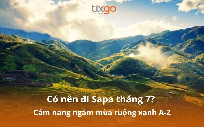 Có nên đi Sapa tháng 7? Mùa lúa trổ đòng xanh mướt Có nên đi Sapa tháng 7? Mùa lúa trổ đòng xanh mướt
