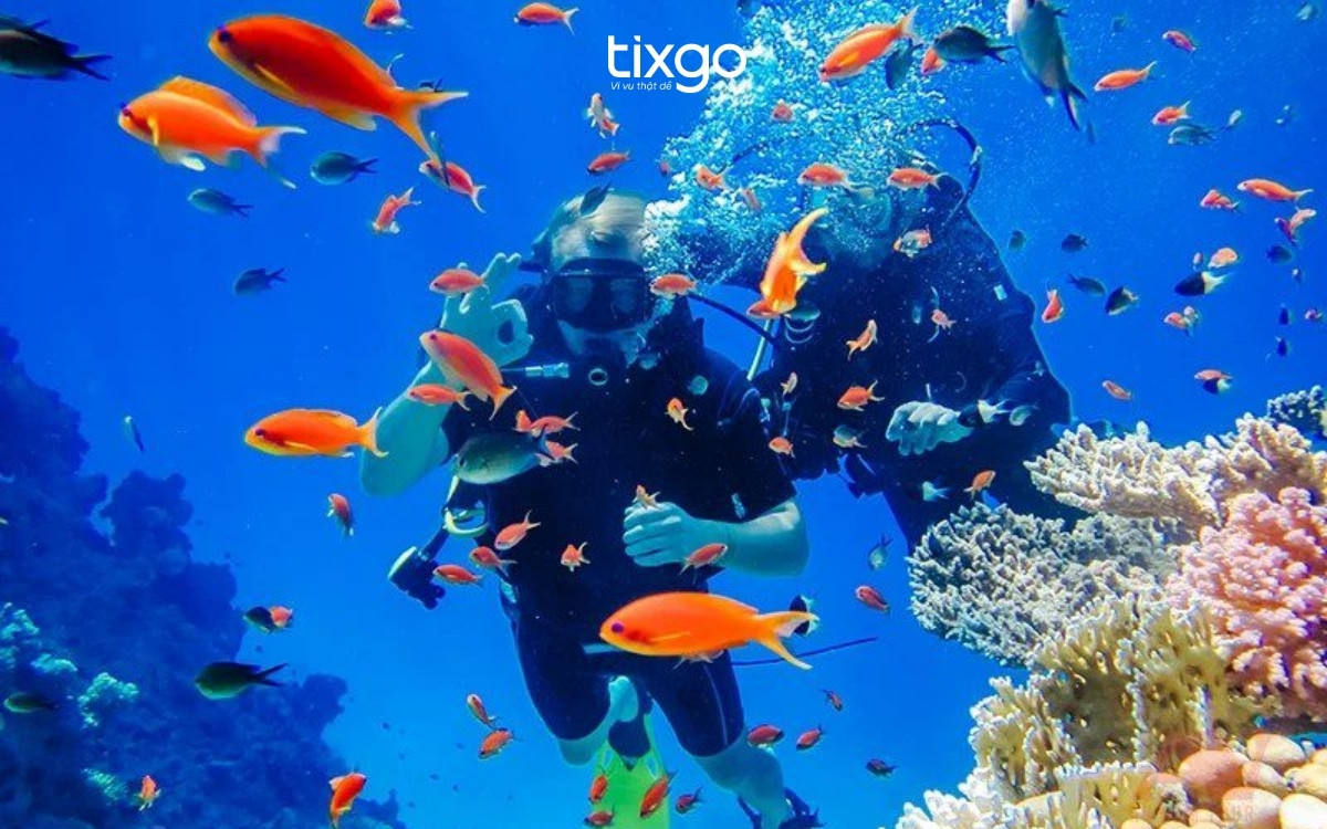 Tour lặn biển với bình khí - Nam Đảo Phú Quốc