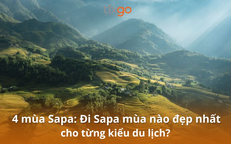 4 mùa Sapa: Đi Sapa mùa nào đẹp nhất cho từng kiểu du lịch? 4 mùa Sapa: Đi Sapa mùa nào đẹp nhất cho từng kiểu du lịch?