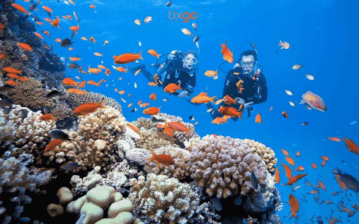 Du lịch Đà Nẵng tháng 8 tại Cù Lao Chàm