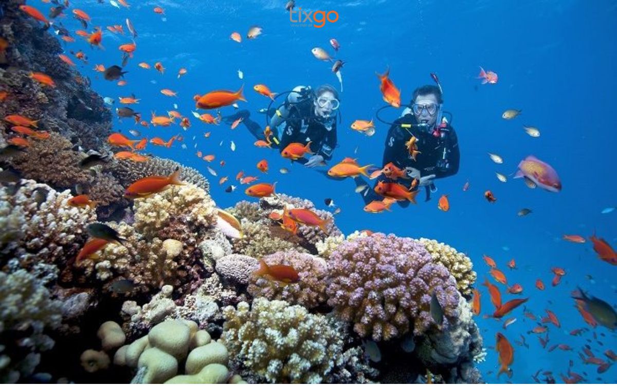 Lặn biển là hoạt động không thể thiếu khi ghé thăm Hòn Thơm, Phú Quốc