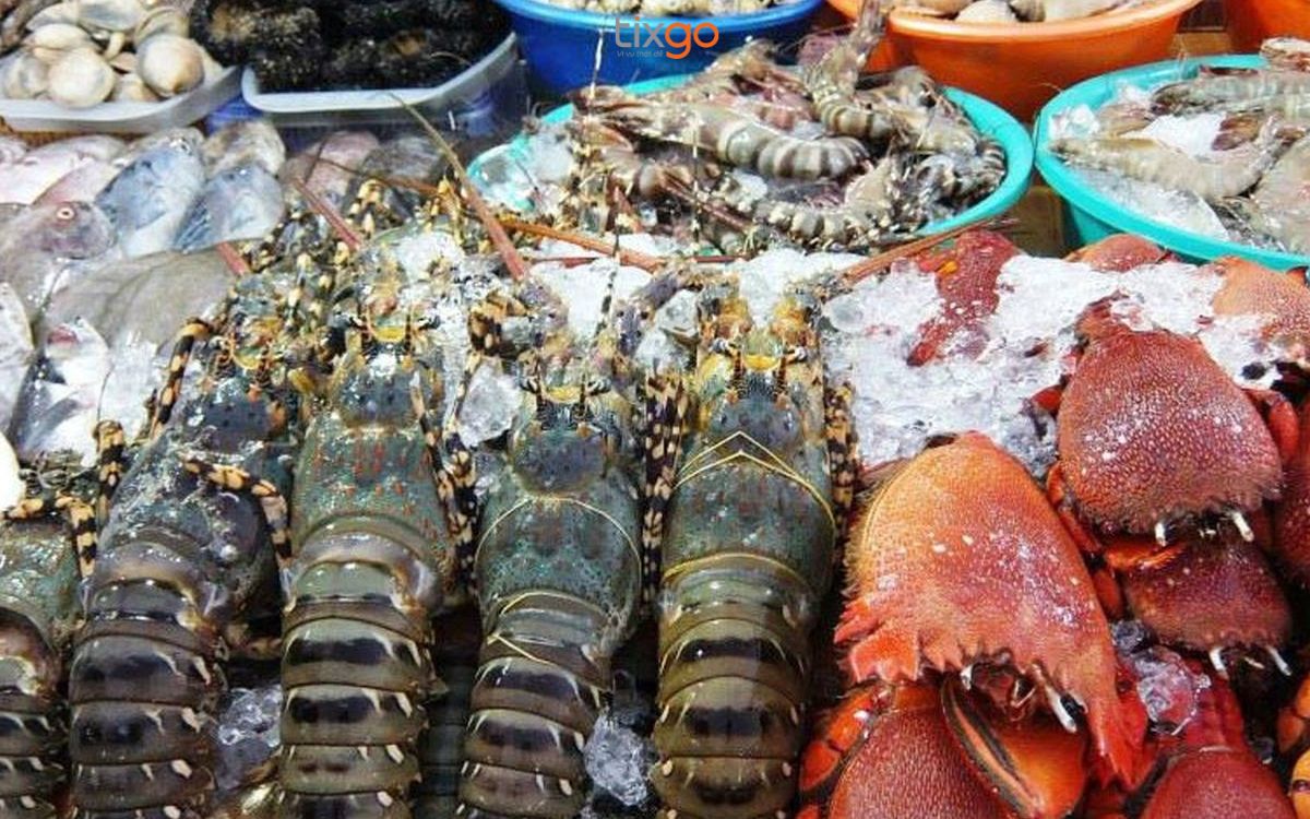 Hải sản tươi sống ở Phú Quốc