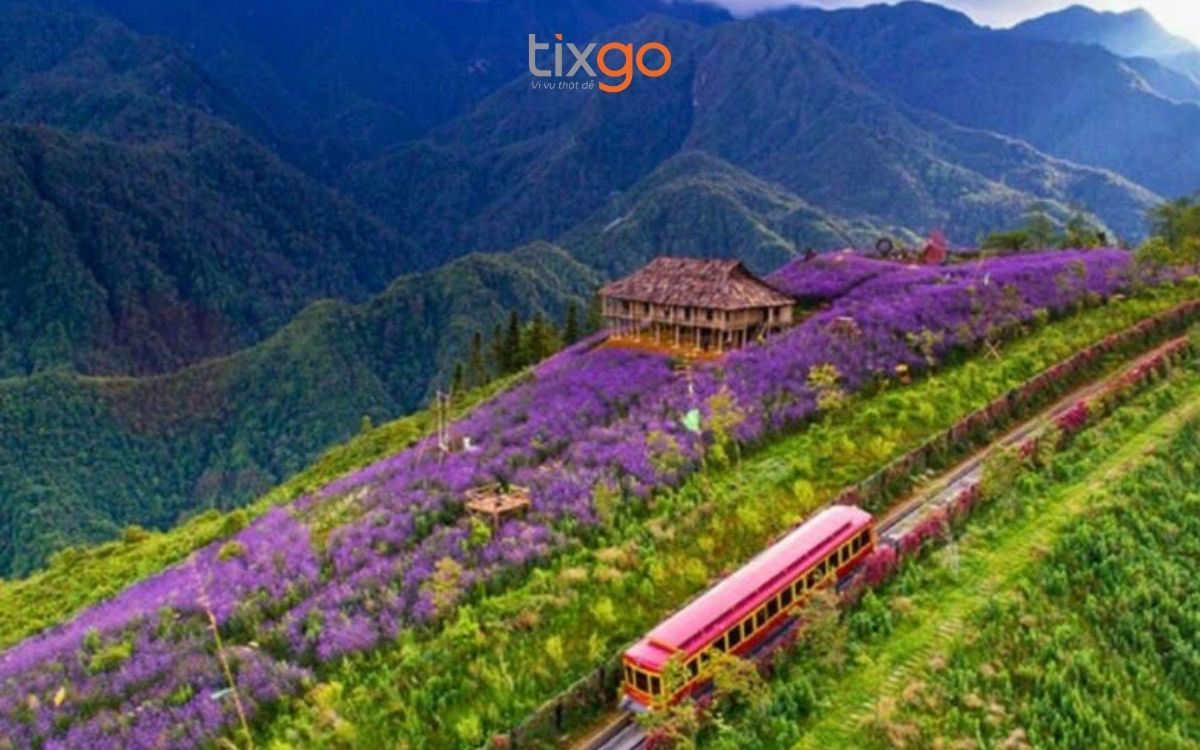 du lịch Lào Cai Thung lũng Mường Hoa thu hút du khách với vẻ đẹp thiên nhiên hùng vĩ