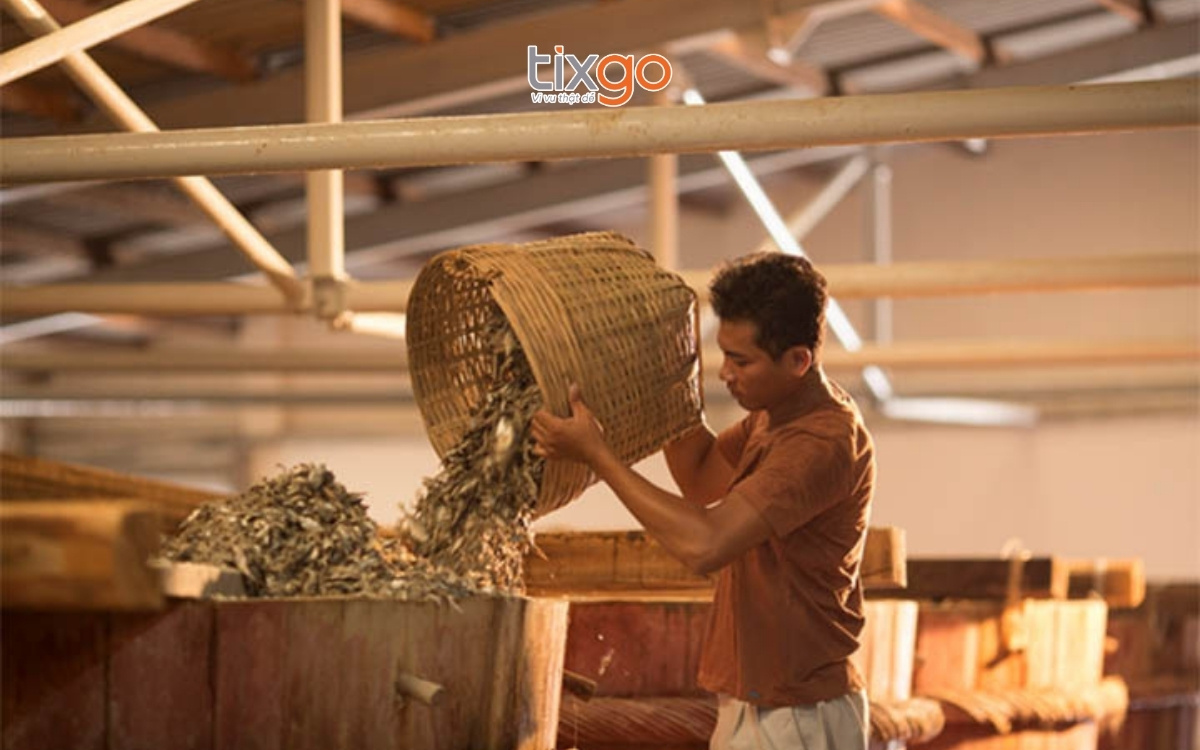 Tìm hiểu quy trình ủ mắm truyền thông khi đi du lịch Phú Quốc tháng 11 Tìm hiểu quy trình ủ mắm truyền thông khi đi du lịch Phú Quốc tháng 11