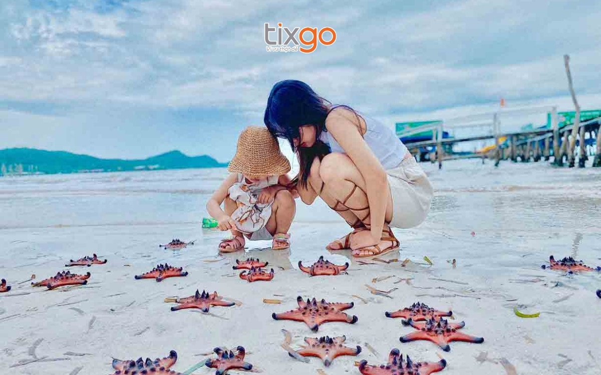 Săn sao biển ở Rạch Vẹm là trải nghiệm khó quên tại Phú Quốc tháng 11 Săn sao biển ở Rạch Vẹm là trải nghiệm khó quên tại Phú Quốc tháng 11
