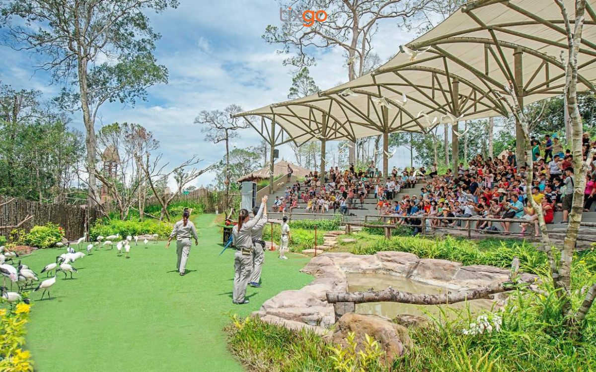 Safari là công viên chăm sóc, bảo tồn động vật bán hoang dã đầu tiên tại Việt Nam