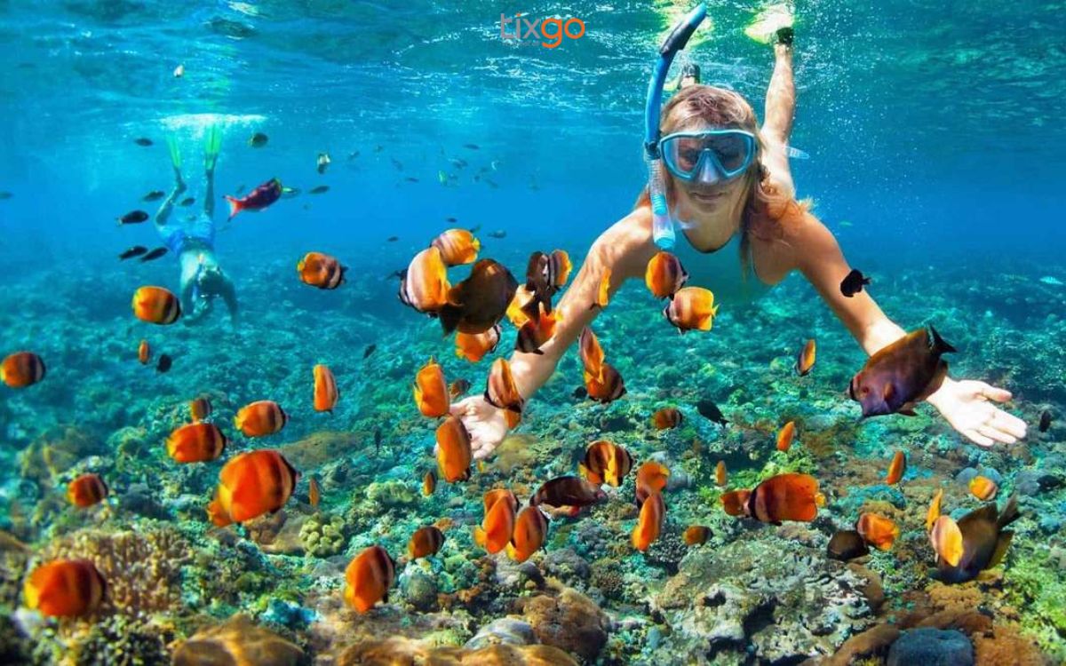 Lặn ngắm san hô là hoạt động được nhiều du khách thích thú