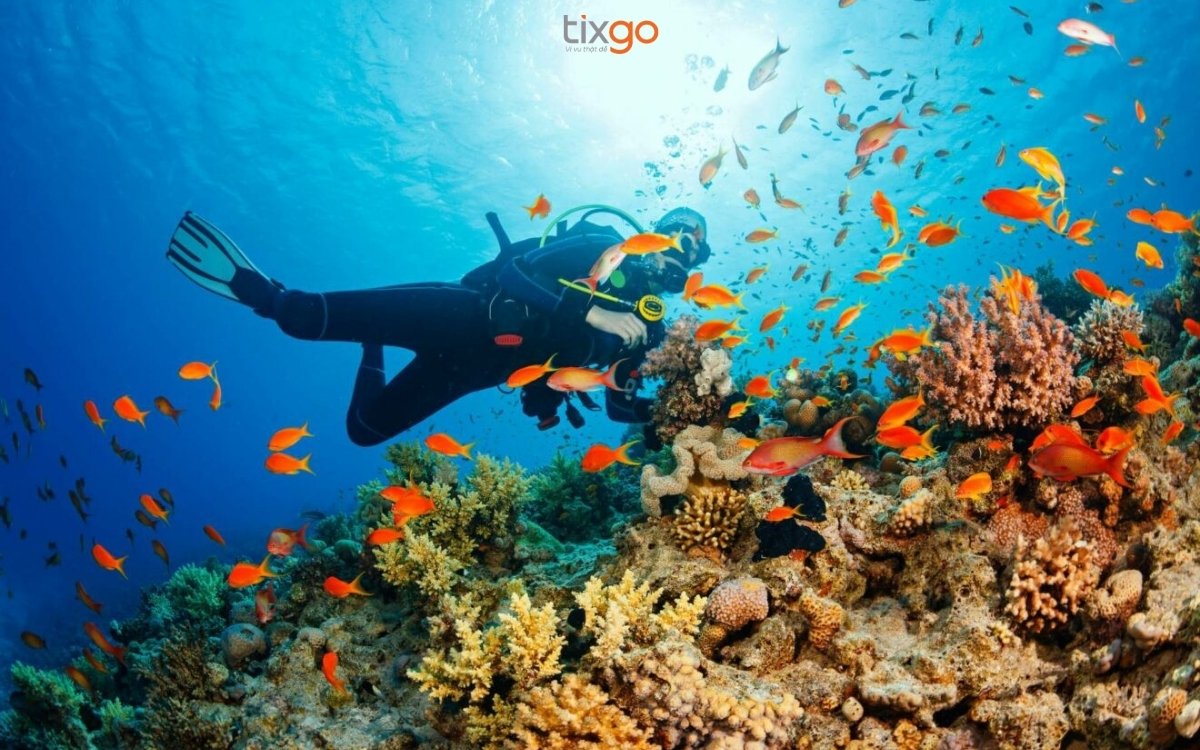 Phú Quốc tháng 5 có mưa không Phú Quốc tháng 5 có mưa không