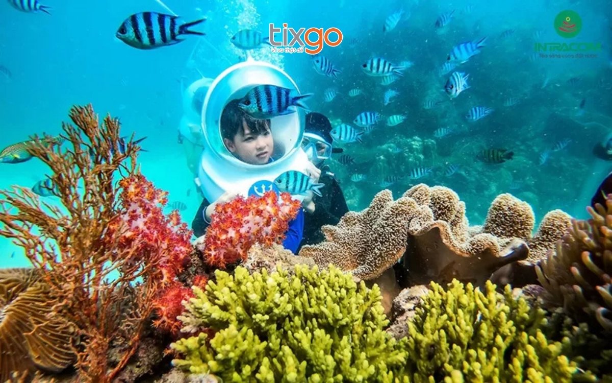 Đi du lịch Phú Quốc tháng 6 đừng quên thử đi bộ dưới đáy biển Đi du lịch Phú Quốc tháng 6 đừng quên thử đi bộ dưới đáy biển