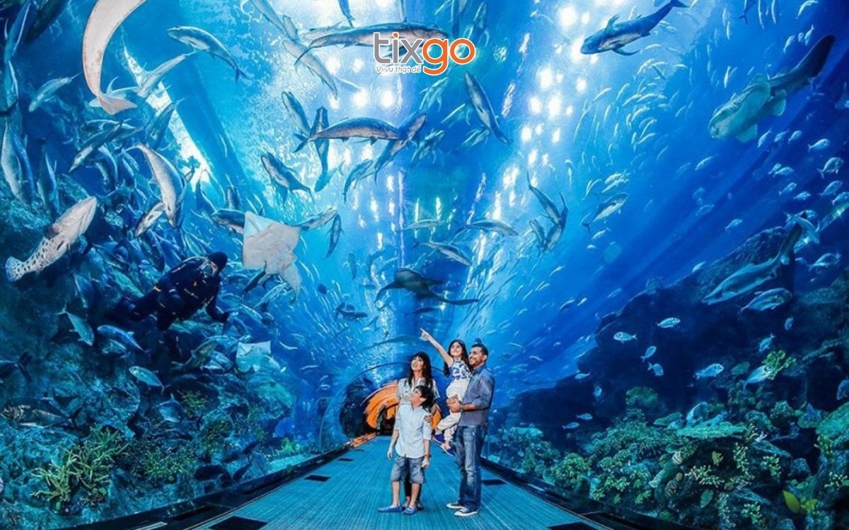 Khám phá Cung điện Hải Vương khi đi du lịch Phú Quốc tháng 6 Khám phá Cung điện Hải Vương khi đi du lịch Phú Quốc tháng 6