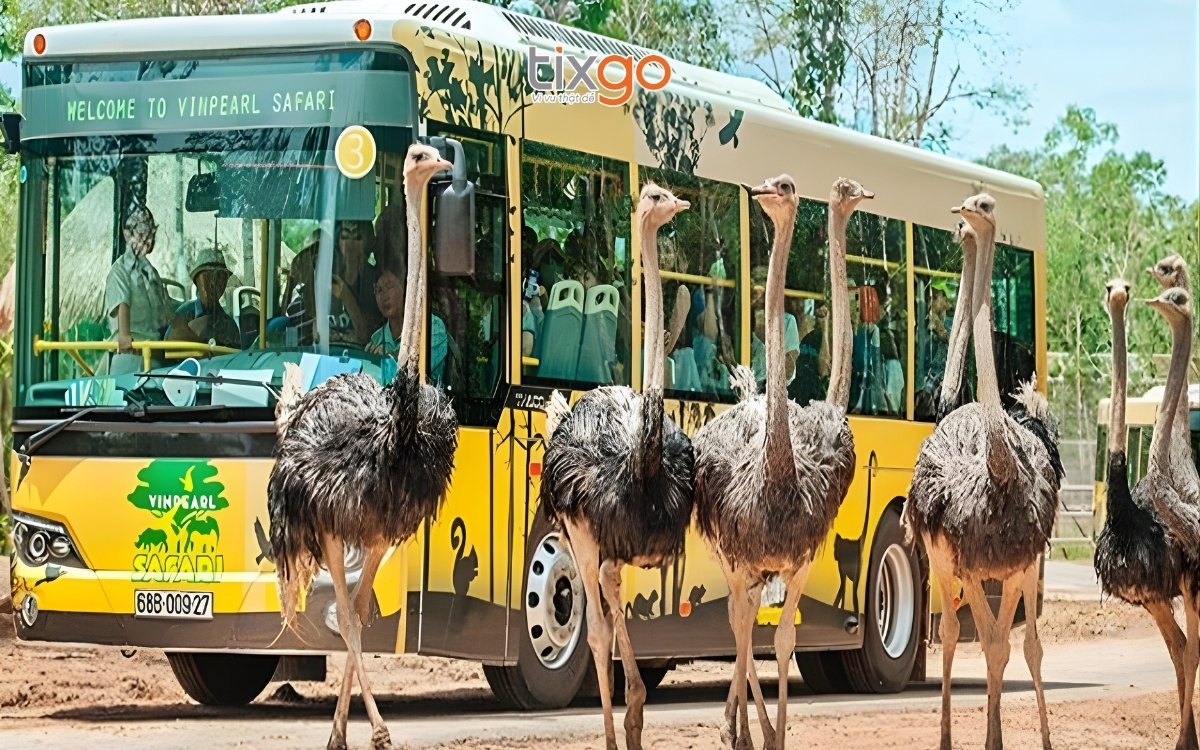 “Nhốt người thả thú” tại Vinpearl Safari khi đi Phú Quốc tháng 7