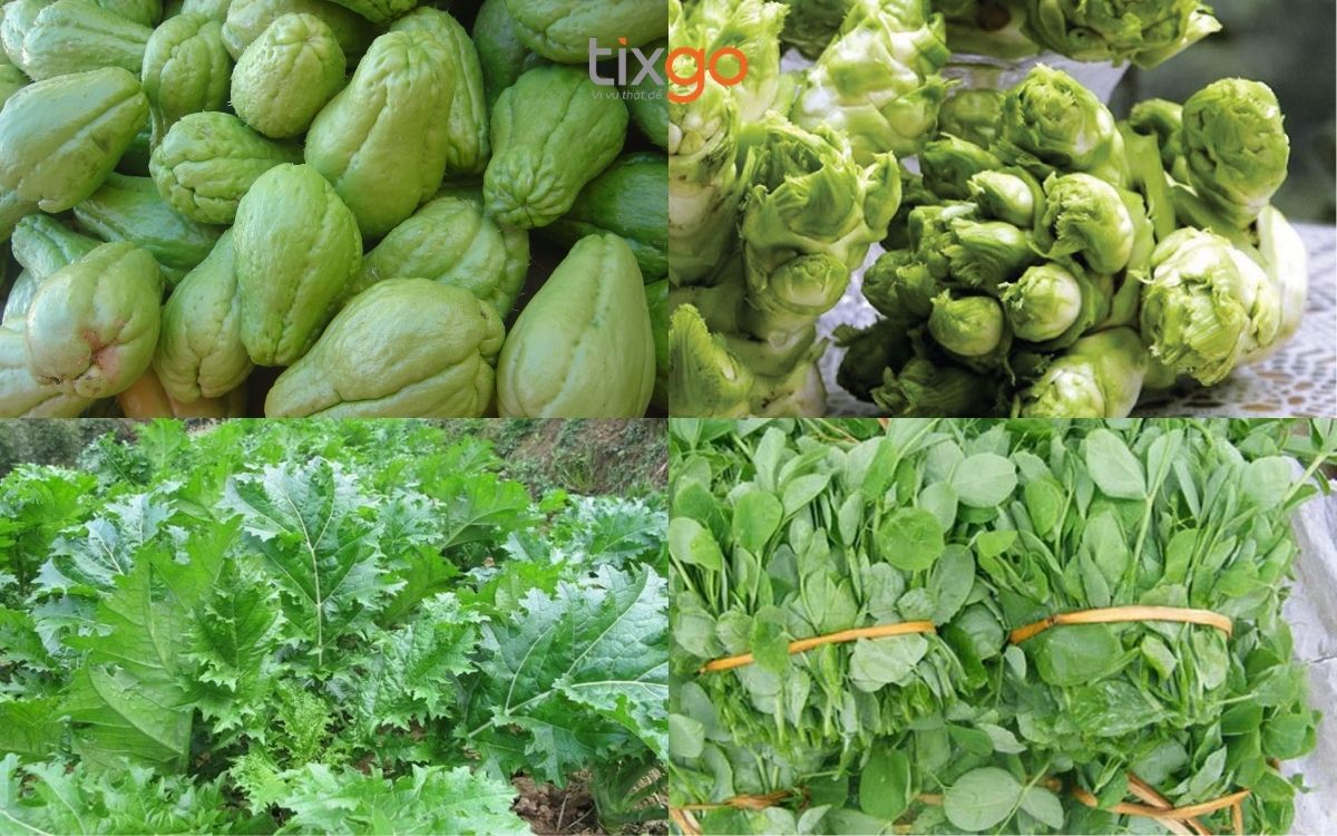 Rau rừng sapa giải ngấy cực hiệu quả