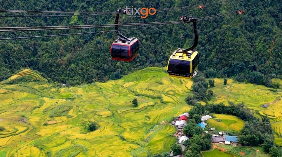 Mùa thu là thời điểm tuyệt vời nhất để săn lúa chín vàng Mùa thu là thời điểm tuyệt vời nhất để săn lúa chín vàng