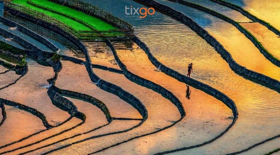 Chiêm ngưỡng ruộng bậc thang mùa nước đổ