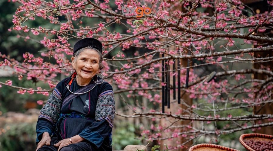 cảnh đẹp sapa tháng 12 cảnh đẹp sapa tháng 12