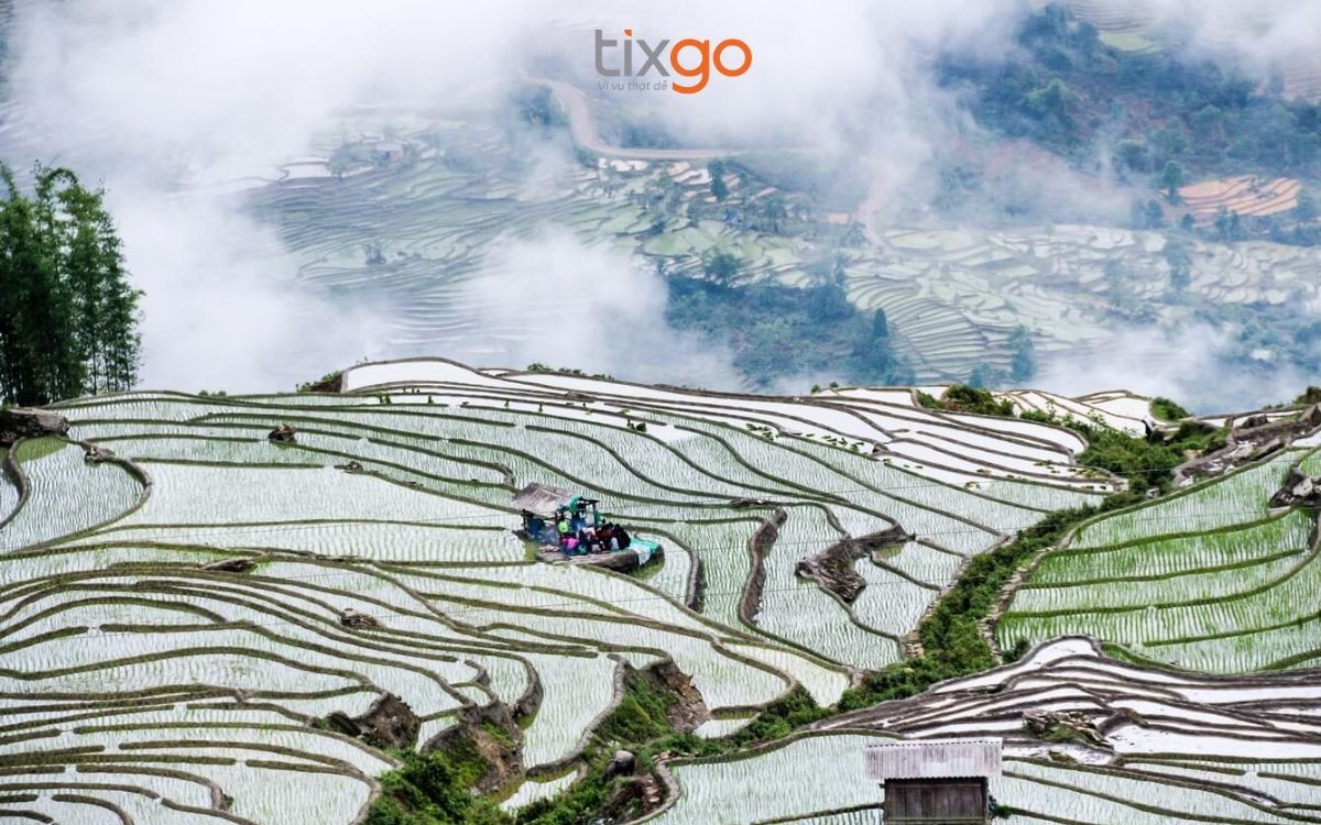 sapa tháng 5 có gì đẹp