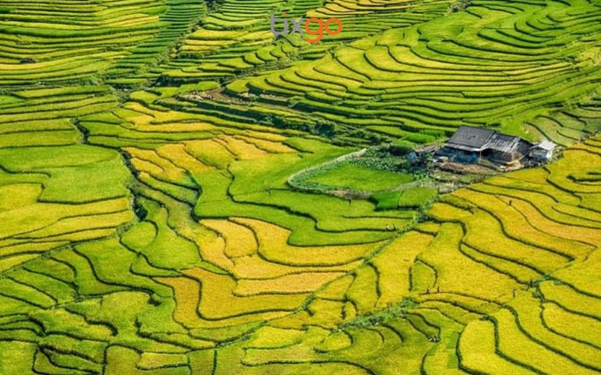 thời tiết sapa tháng 6