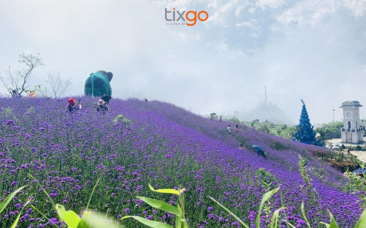 du lịch Sapa tháng 6