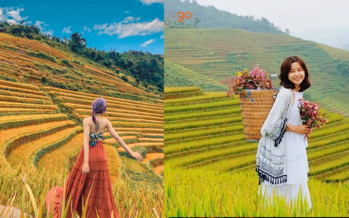 Trang phục chụp ảnh đẹp giữa biển lúa tháng 9 du lịch sapa tháng 9