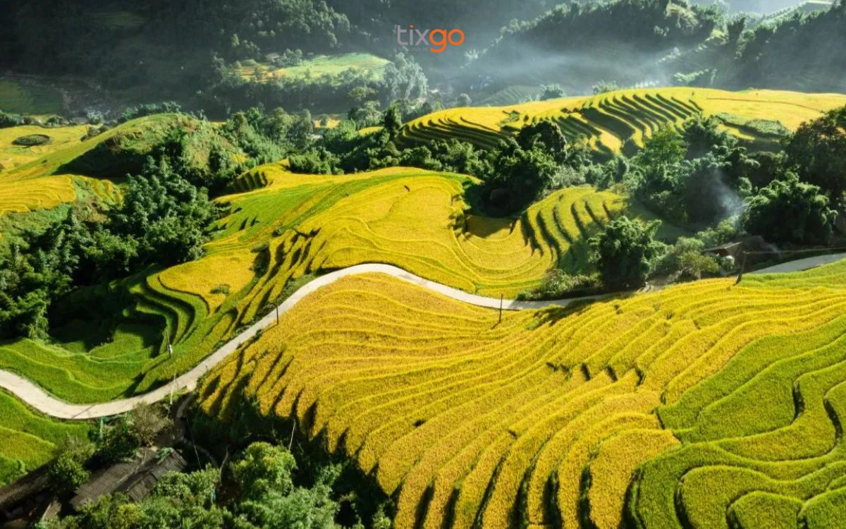 Ruộng lúa bậc thang ở bản Tả Văn và Lao Chải du lịch sapa tháng 9