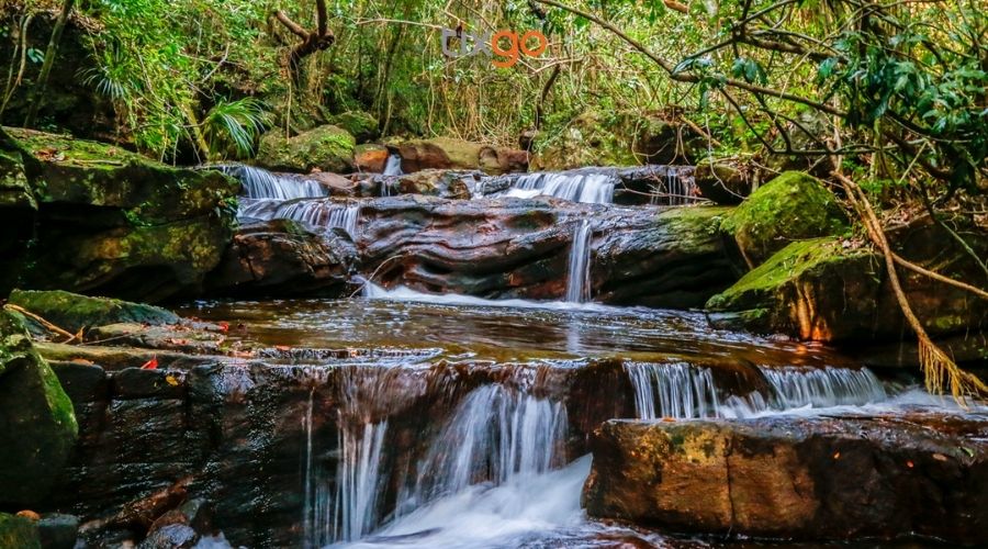 Hang Dơi Phú Quốc ở gần thượng nguồn suối Tranh hang dơi phú quốc