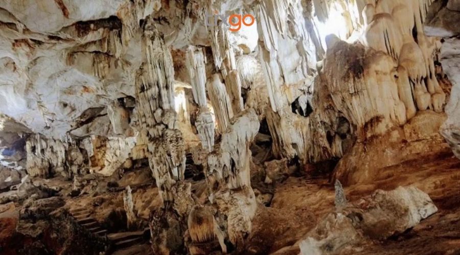 Khám phá vẻ đẹp kỳ bí của bên trong Hang Dơi Phú Quốc hang dơi phú quốc