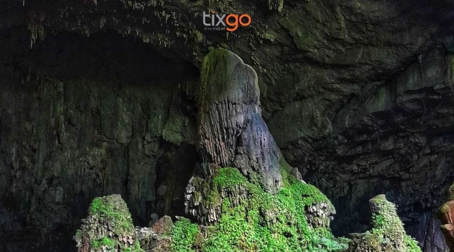 Không khí mát lành tại thượng nguồn của suối Tranh hang dơi phú quốc