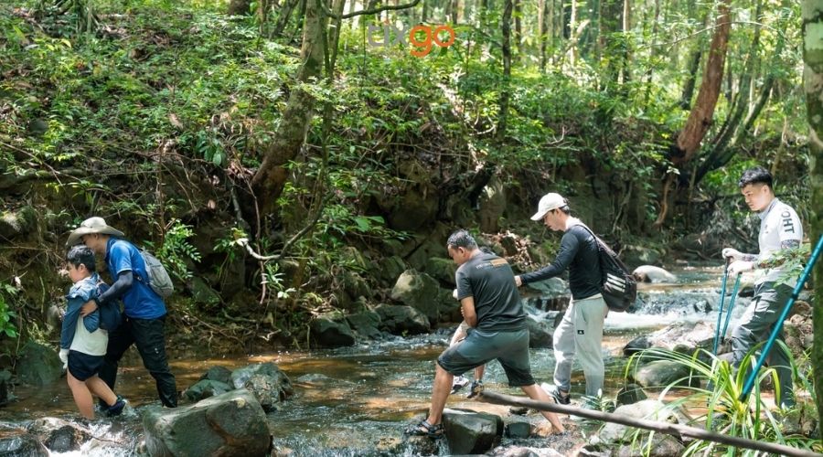 Lưu ý tuyến đường trekking đến Hang Dơi hang dơi ở phú quốc