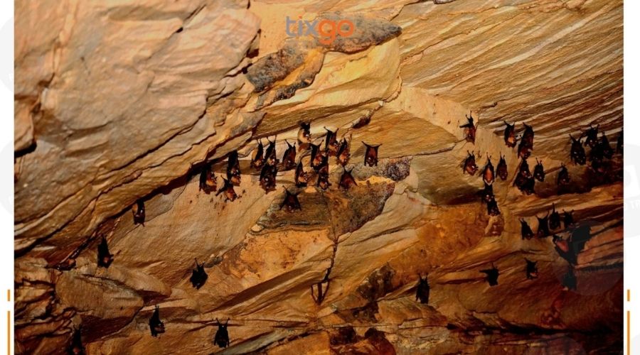 Thời điểm đẹp nhất để đi hang Dơi Phú Quốc là vào mùa khô hang dơi ở phú quốc