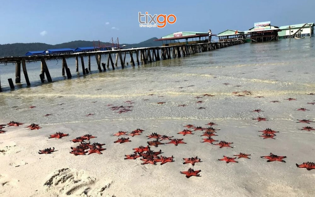Rạch Vẹm là khu vui chơi ở đảo Phú Quốc với nhiều sao biển khu vui chơi ở phú quốc