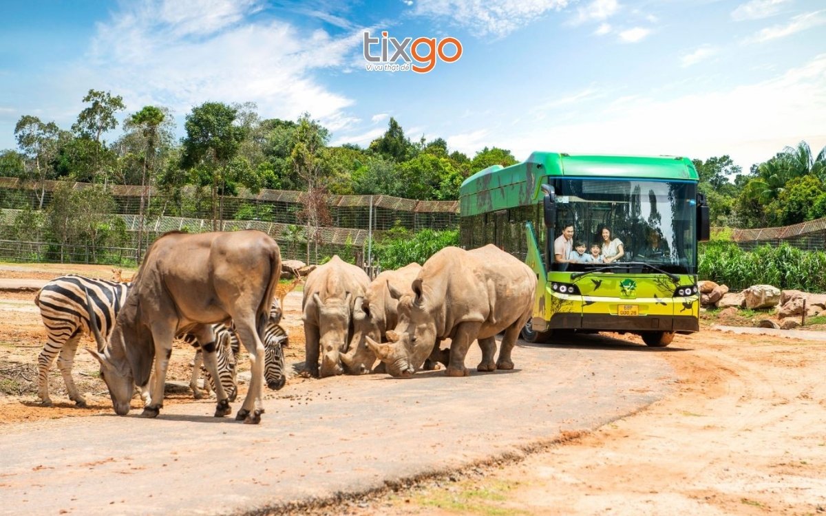 Trải nghiệm “nhốt người thả thú” tại khu vui chơi Vinpearl Phú Quốc khu vui chơi phú quốc