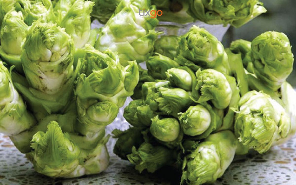 Mầm đá là đặc sản Sapa theo mùa ăn uống tại sapa