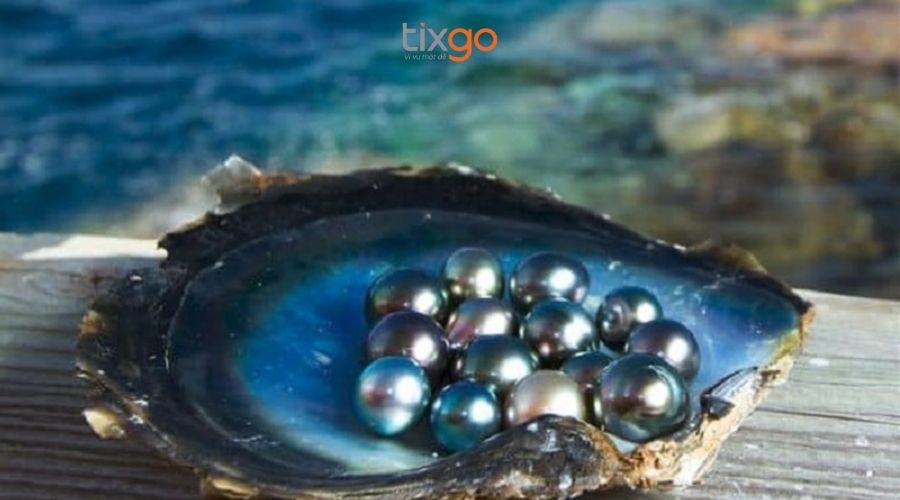 làng chài Hàm Ninh