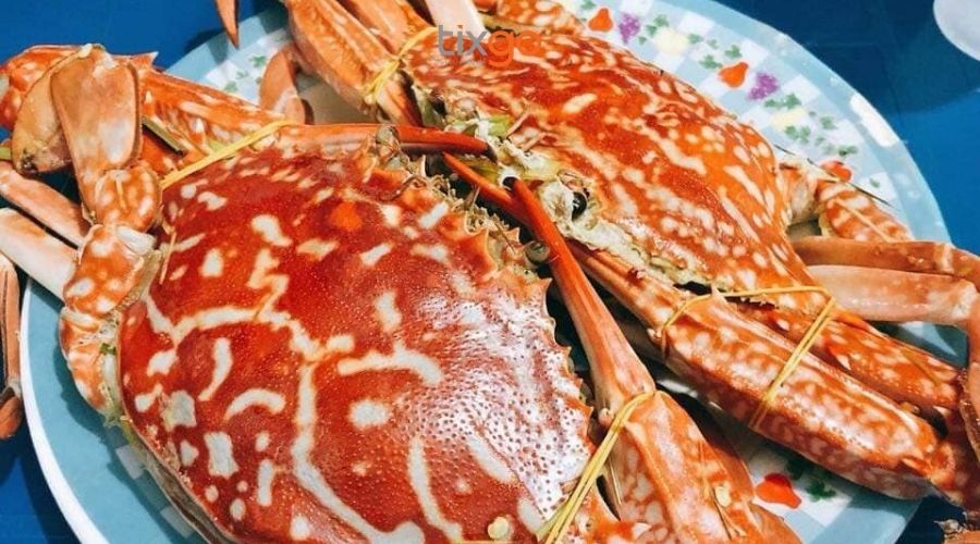 hải sản làng chài Hàm Ninh