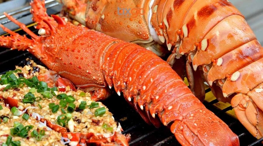 nên đi nam đảo hay bắc đảo phú quốc