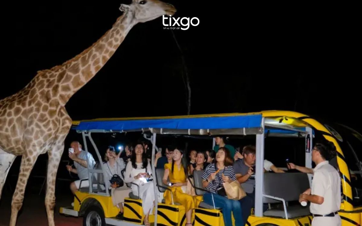 night safari phú quốcsaf